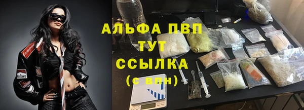спиды Алзамай