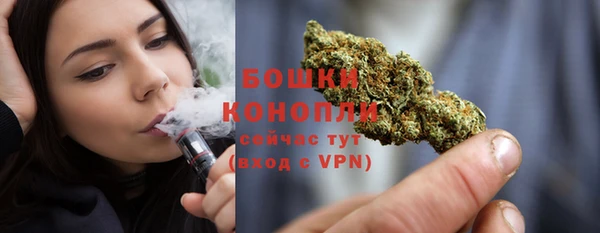 PSILOCYBIN Покров