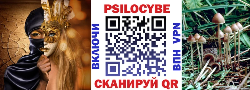 блэк спрут ССЫЛКА  Долинск  Галлюциногенные грибы мицелий 